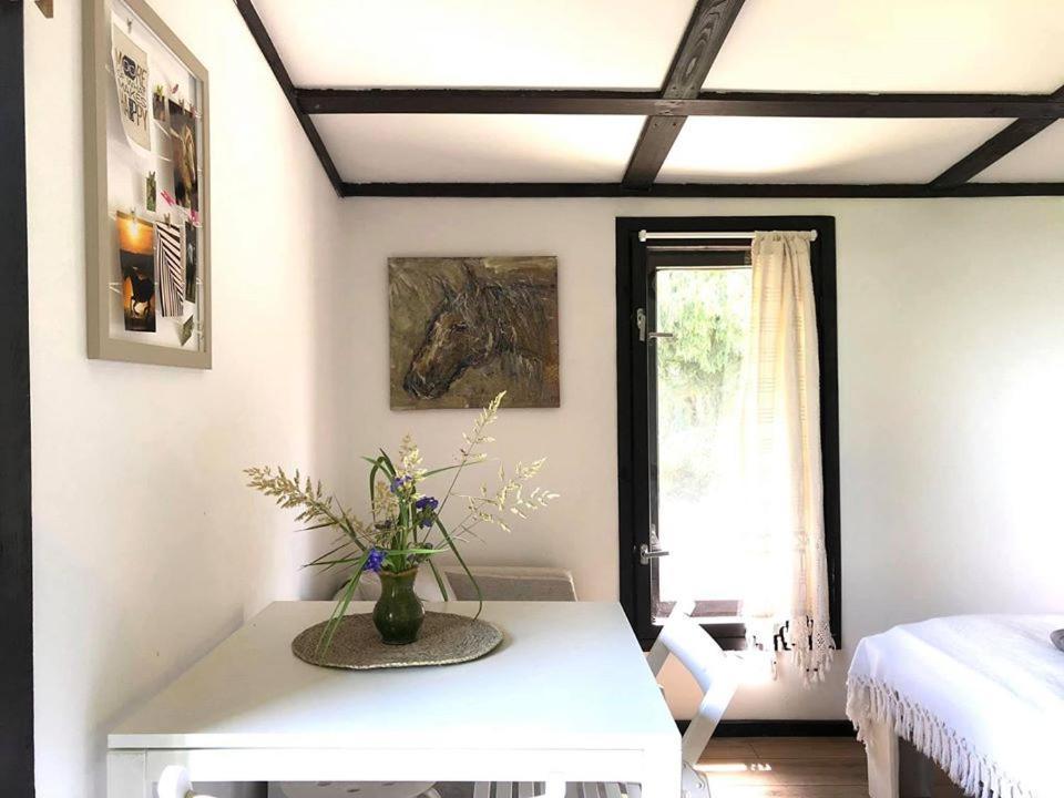 Apartamenty Lajkonik Домбрувно Экстерьер фото